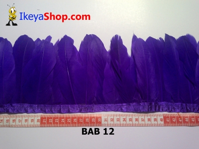 Bulu angsa BAB 12   feather  large2